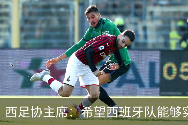 西足协主席：希望西班牙队能够实现夺冠的目标，但必须一步一步来